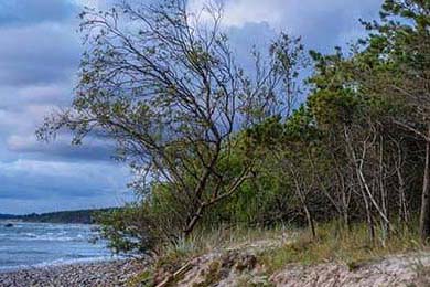 2025篮球赛季亮点盘点，精彩不断，2021-2022篮球