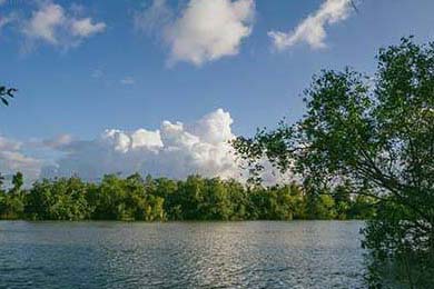 AC米兰主场告负，遭遇连败困扰，ac米兰 引援