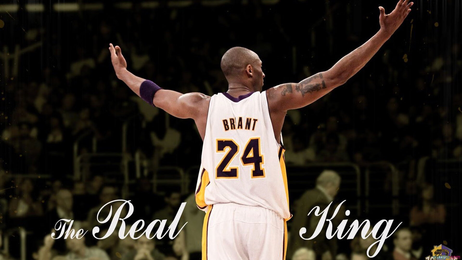 国际体能训练认证中心网络扩展：更多城市可参加考核，国际体能测试标准